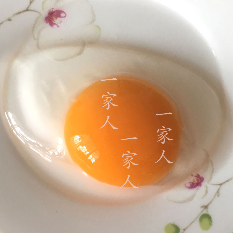 野生放养滩涂鸭 20个装。吃的都是小鱼、小虾、小蟹、小螺等海洋生物。