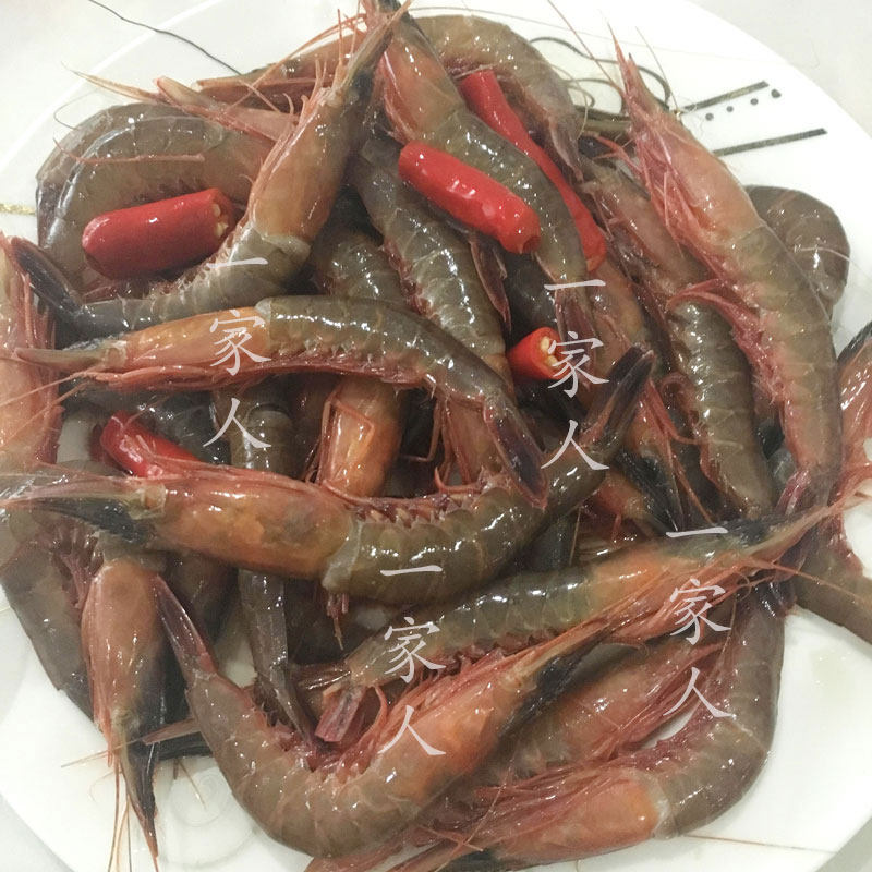 顺丰包邮限区宁波现活腌制中个醉呛虾东海野生活皮虾滑波虾700g