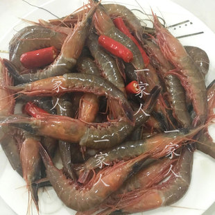 顺丰包邮限区宁波现活腌制中个醉呛虾东海野生活皮虾滑波虾700g