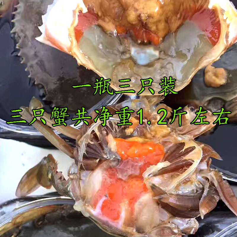 包邮顺丰限区酱香青蟹醉膏蟹鲜活腌制母红膏蟹宁波咸炝蟹3只装
