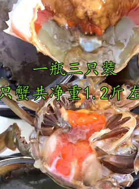 包邮顺丰限区酱香青蟹醉膏蟹鲜活腌制母红膏蟹宁波咸炝蟹3只装