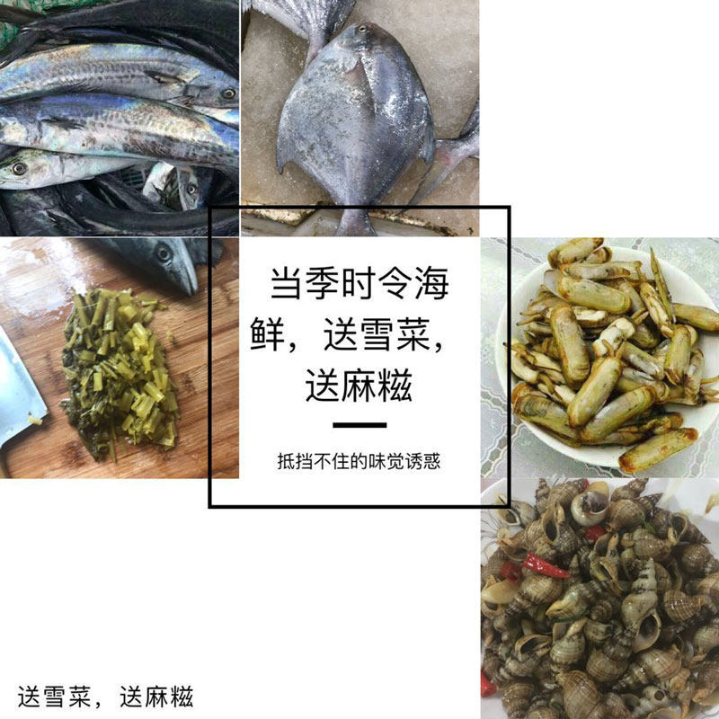 海鲜礼包东海新鲜时令海鲜组合套餐舟山宁波码头直供海鲜年货礼包