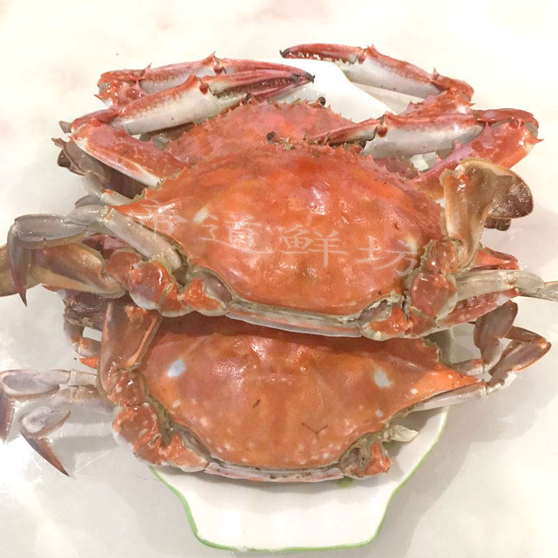 舟山宁波即食野生梭子蟹公蟹白蟹烤螃蟹新鲜活海鲜熟食3斤装4-6个