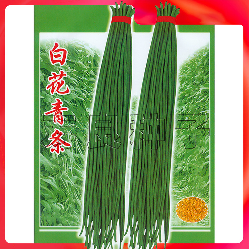 豆角种籽青豇经典深绿长条顺直凉拌高产豌豆四季盆栽农家蔬菜种子