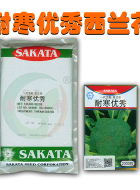 西兰花种籽耐寒优秀日本坂田SAKATA10万粒大小包花椰菜蔬菜种子