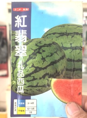 超特富士圆球形沙甜进口大西瓜