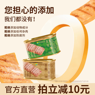 齐善素食素午餐肉火腿植物蛋白火锅三明治搭档佛家纯素食品大全