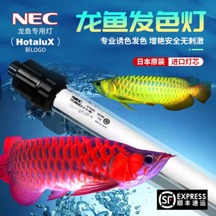 日本NEC潜水龙鱼灯防水6700k30三基色鱼缸灯管水族金龙鱼增色专用