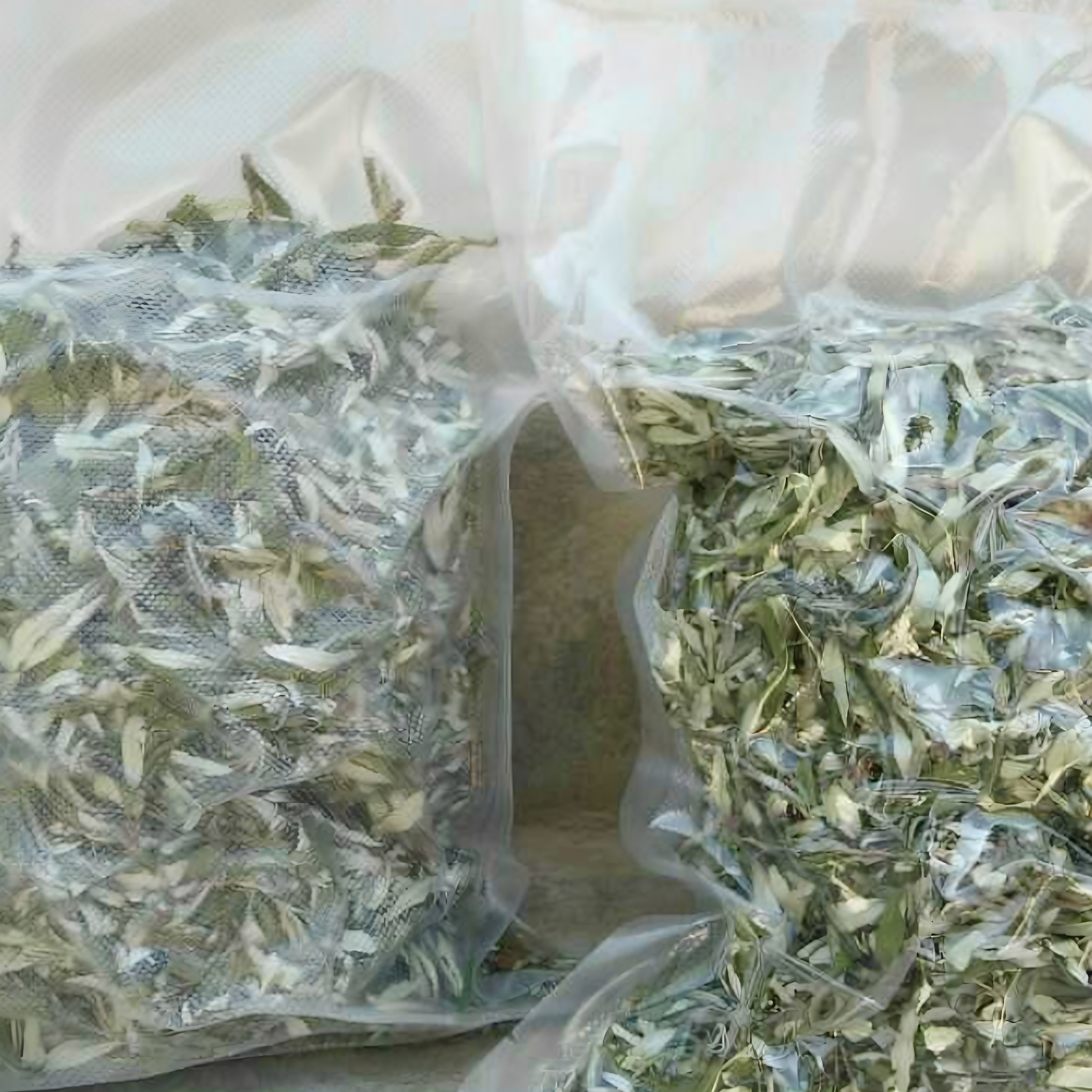 新品高原野生沙棘茶产地正品无农药精选酸溜酸刺500g非猴头丁香茶