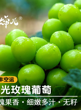 蛋婶儿有机阳光玫瑰葡萄四川香印无籽青提新鲜水果提子顺丰整箱