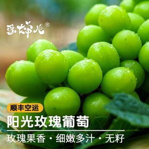 蛋婶儿有机阳光玫瑰葡萄四川香印无籽青提新鲜水果提子顺丰整箱