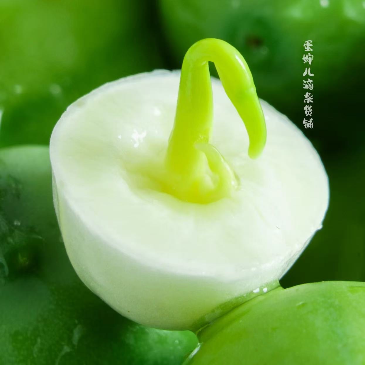 蛋婶儿新鲜莲子湖北黄龙湖甜芯莲现摘莲子米生吃即食不带莲蓬甜嫩