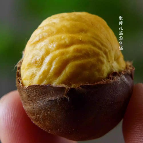 蛋婶儿迁西板栗新鲜带壳生的香甜