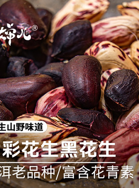 云南普洱七彩花生/黑花生老品种