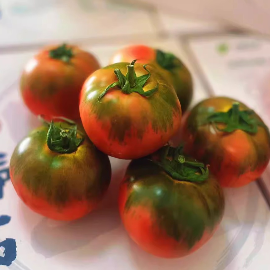 云南蒙自新鲜水果番茄