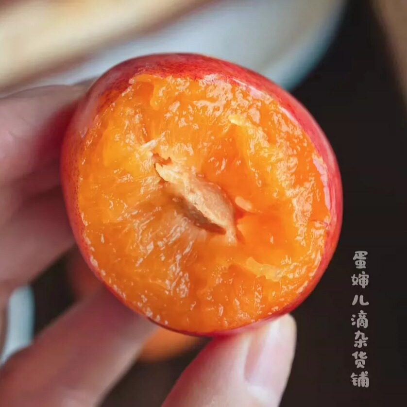 少量！蛋婶儿新疆黄金西梅新鲜当季时令李子水果放软蜜甜爆汁空运