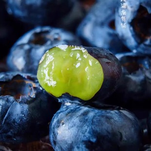 蛋婶儿云南花香蓝莓抚仙湖现摘现发当季 新鲜水果L25高端大果脆甜