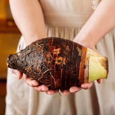 蛋婶儿乐昌香芋现挖现发