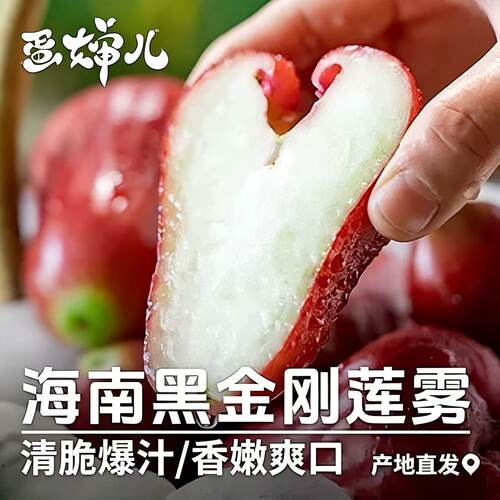 蛋婶儿黑金刚甜莲雾超好吃！