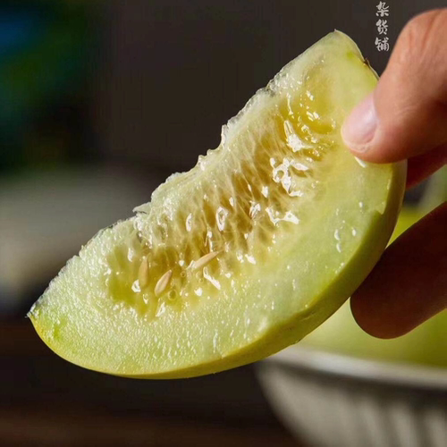 蛋婶儿马连庄甜瓜山东特产头茬小香瓜蜜瓜甜瓜脆甜白糖罐顺丰包邮