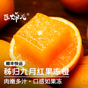 蛋婶儿九月红橙子秭归脐橙新鲜宜昌柑橘爆汁橙整箱当季新鲜直发甜