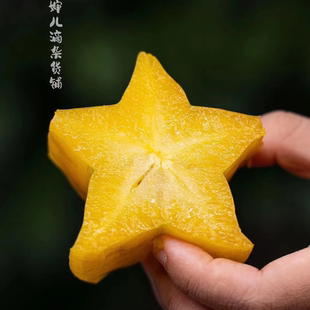 蛋婶儿小甜星杨桃福建漳州新鲜水果树上熟时令整箱礼盒酸甜 包邮