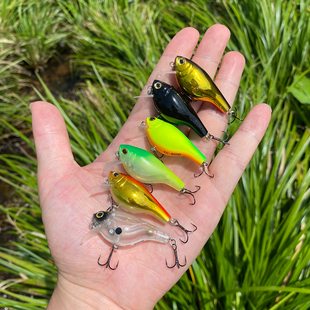 日本品牌原单精品路亚假饵4.5厘米5克软舌板摇滚小胖Crank bait