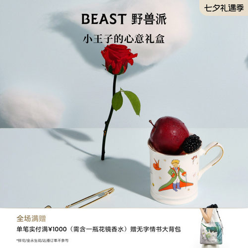 野兽派小王子永生花马克杯礼盒