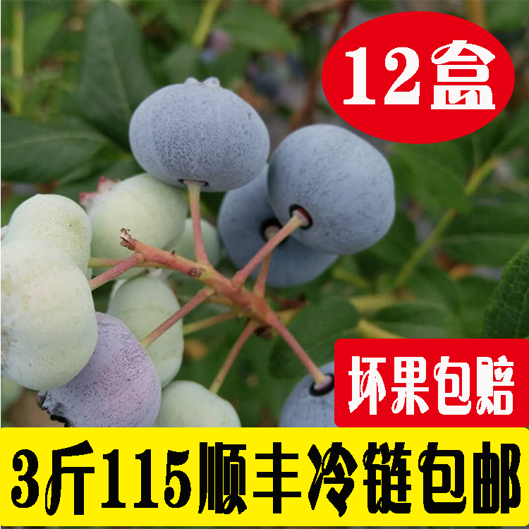 µ¤¶«ÌزúÀ¶Ý®ÏʹûÐÂÏʰüÓÊÌìÈ»·Ç500gÏÖÕªÏÈ·¢12ºÐ3½ïÔи¾Ë®¹û