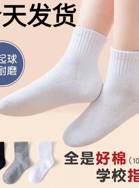 儿童白色袜子纯棉春秋夏季男孩女童中筒学生袜纯白色运动袜网表演