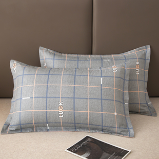 家用枕芯内胆套简约高级感枕芯套48cmx74cm 磨毛枕套一只装 四季 款