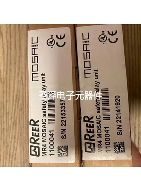 瑞奥REER控制器M1 MOSAIC-MAIN UNIT 110000 1100041 19214205议
