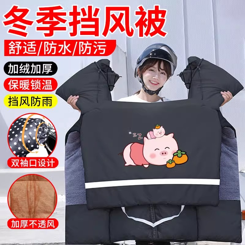 小型电动车挡风被秋冬款防水代驾