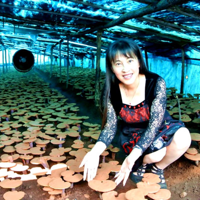 长白山赤木灵芝孢子粉