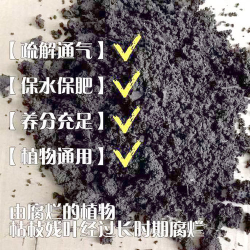 营养腐殖土腐殖土营养土