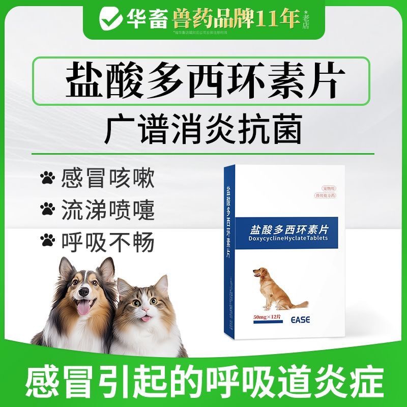 打喷嚏流鼻涕干咳消炎药多西狗狗