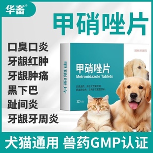 八牧宠物甲硝唑片狗狗猫咪口炎溃疡口臭猫黑下巴趾间炎皮肤消炎药