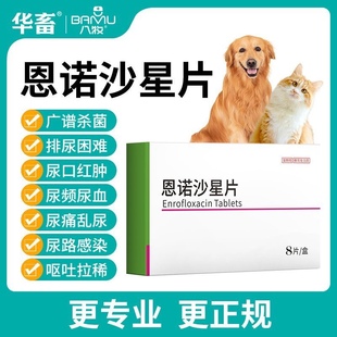 八牧拜有利恩诺沙星猫用狗用泌尿系统药尿路感染消炎药片利尿通猫