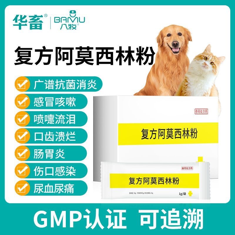 猫咪狗狗流鼻涕感冒打喷嚏宠物