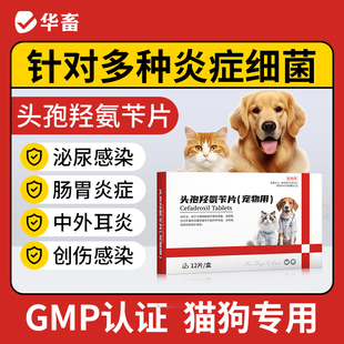 华畜头孢羟氨苄片宠物狗狗猫咪脓皮症伤口消炎感冒药尿路感染尿血