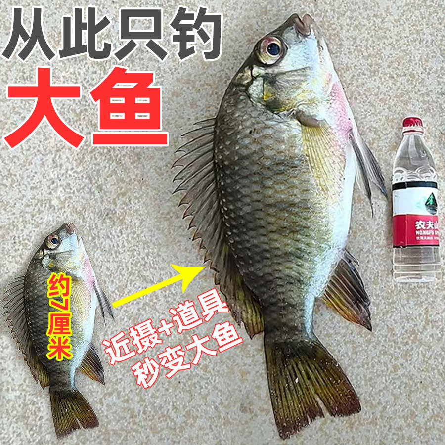 鱼获放大器小鱼变大鱼钓鱼佬摆件