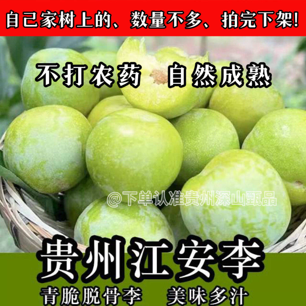 (放心下单、几十年老树上现摘)贵州脱骨青脆李子酸甜可口江安李