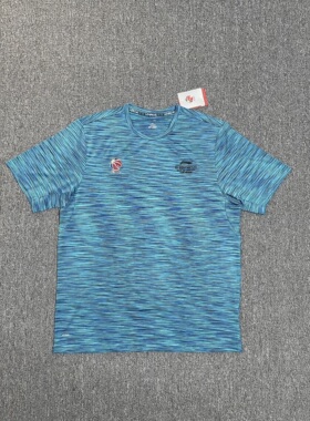 李宁CBA赞助加大加肥男子夏季大码3X4X5X6X7X8X11X短袖T恤AHSM667