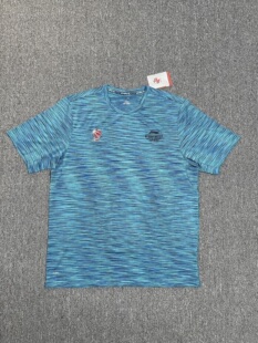 3X4X5X6X7X8X11X短袖 T恤AHSM667 大码 李宁CBA赞助加大加肥男子夏季