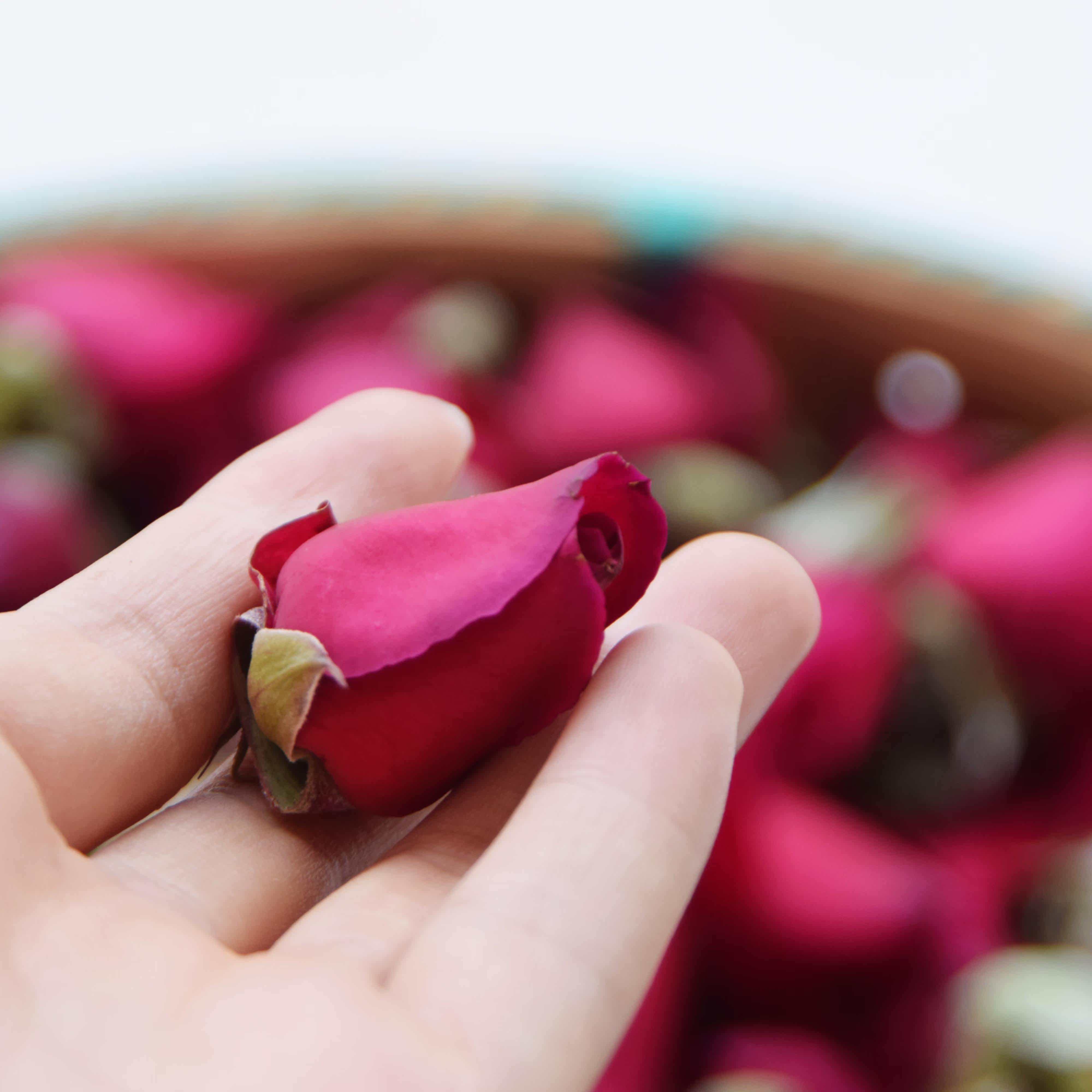 芳疗师玫瑰茶树薰衣草纯露