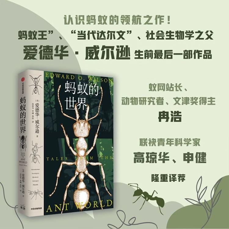 蚂蚁的世界 爱德华威尔逊著 赠炫酷印银蚂蚁卡片 冉浩 刘华杰 苗德岁 水哥王昱珩力荐 蚂蚁探险之旅 中信正版