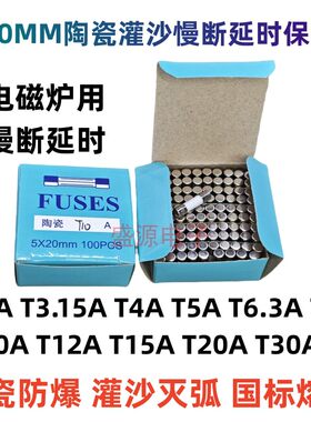 电磁炉保险丝5*20陶瓷慢断灌沙
