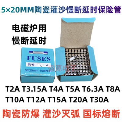 电磁炉保险丝5*20陶瓷慢断灌沙