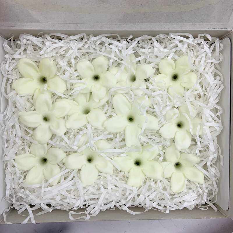 日本大地品牌进口永生花茉莉整盒清仓特价