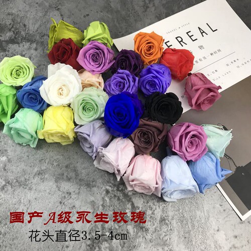 出口永生花3.5-4cm单朵玻璃罩